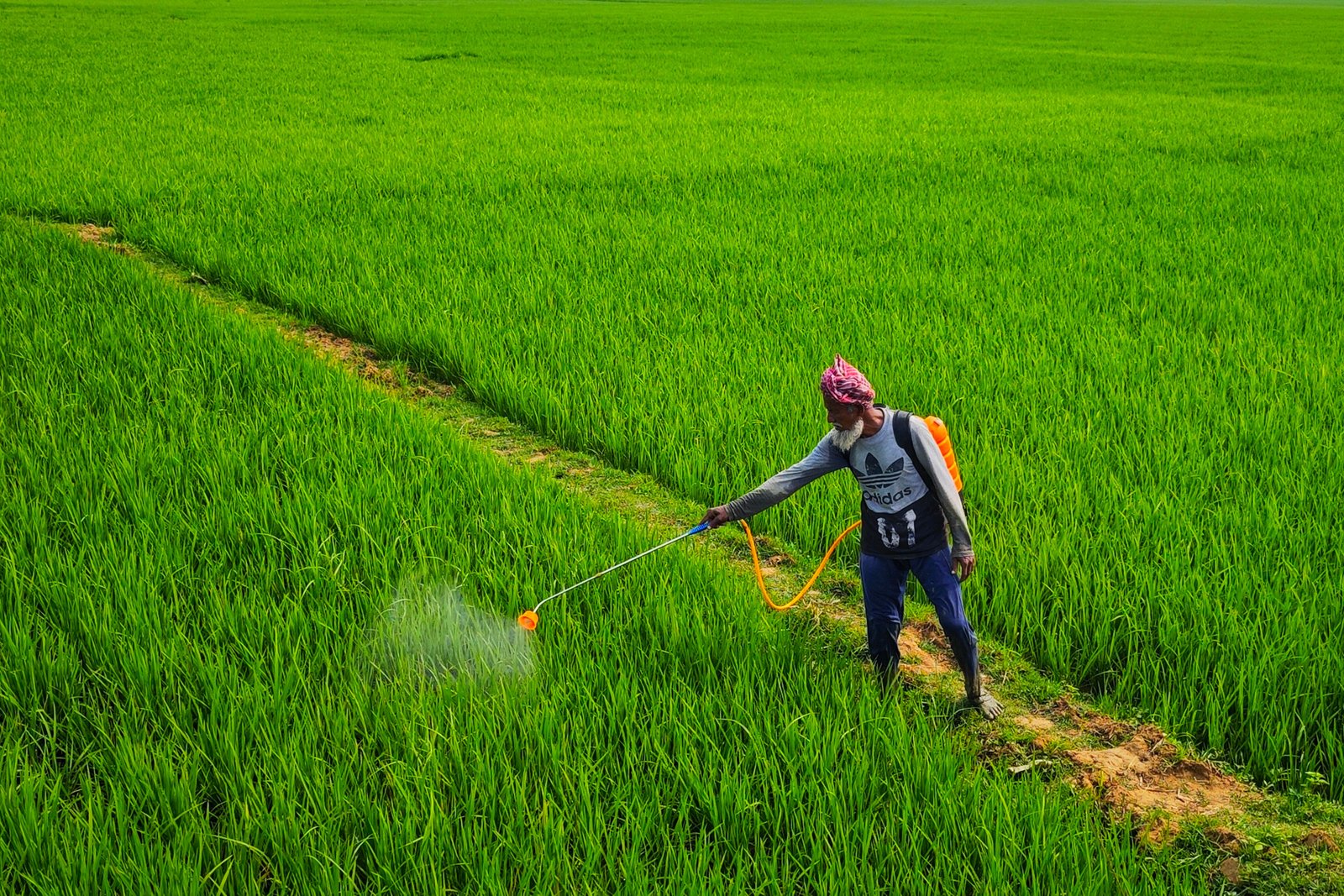 Agriculture Loan